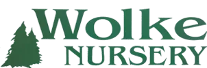 Wolke Nursery